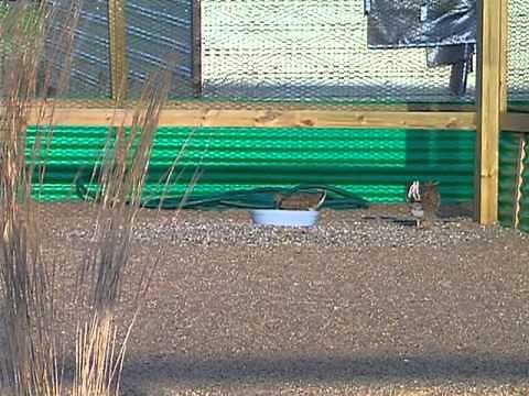 Keep Texas Wild: Gulf Coast