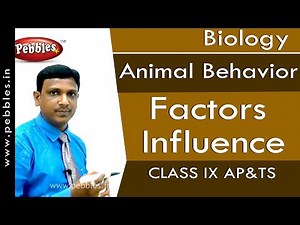 Factors Influence : Animal Behavior | Biology | Class 9 | AP&TS