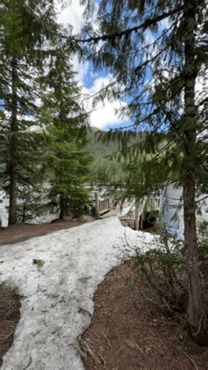 clip-4006429951-beautiful-day-spring-trillium-lake-oregon
