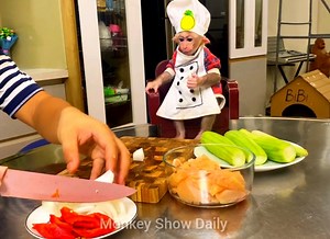 15K views · 1.4K reactions | Chest BiBi monkey and Dad cooking the most delicious and easy chicken breast recipe in 5 minutes and let eating together | Monkey Show Daily | Facebook