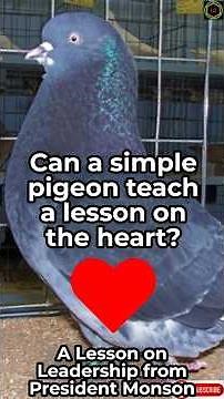 "Why did this one-eyed pigeon keep coming back?" By Elder Thomas S. Monson