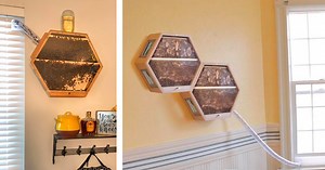This Indoor Beehive Connects To Any Window With a Tube, Offers Incredible Views