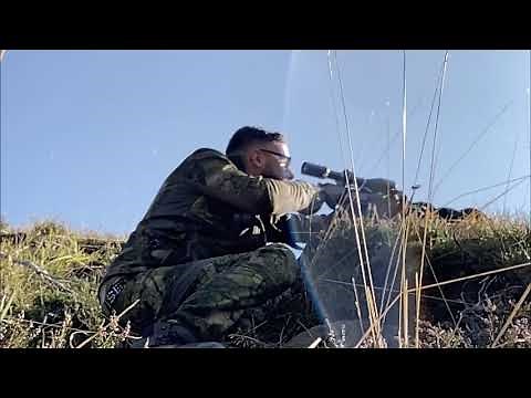 Chasse du Cerf au Brame dans les Pyrénées (2020)