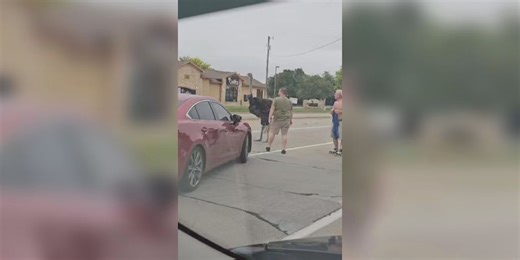 Ostrich roams through town after getting loose from trailer