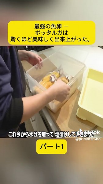 最強の魚卵 ― ボッタルガは驚くほど美味しく出来上がった。 パート1#foryoupage❤️❤️ #きまぐれクック #fishing #seafood #asmr #捌き方 #SASHIMI #刺身 #fyp #b #viral #料理
