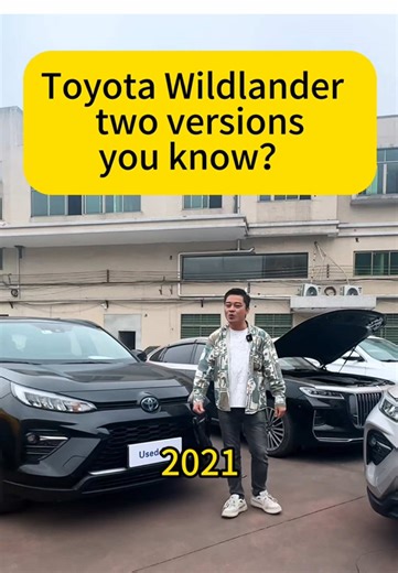 Hybrid vs. Gasoline Cars: Which Should You Choose?