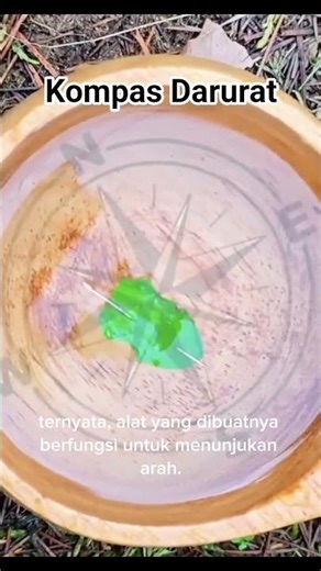 Cara membuat Kompas darurat ketika tersesat dihutan. #survival #fyp #trik