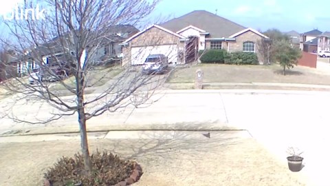 Forney deadly shooting near middle school was drug deal gone bad: arrest affidavit