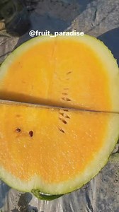 yellow watermelon | fruit paradise