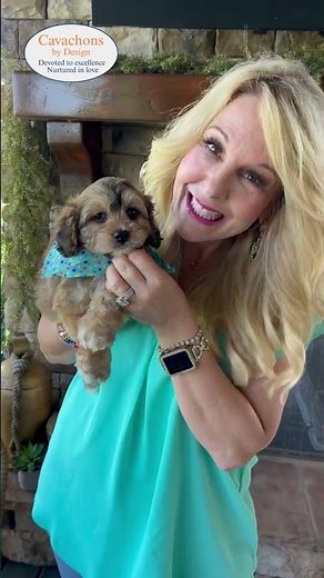 Share Your Dog's Name and Nicknames with Us! 🐶 #DogNames #DogNicknames