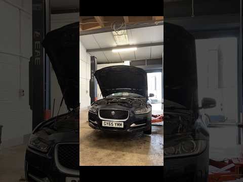 Jaguar Ingenium Timing Chain