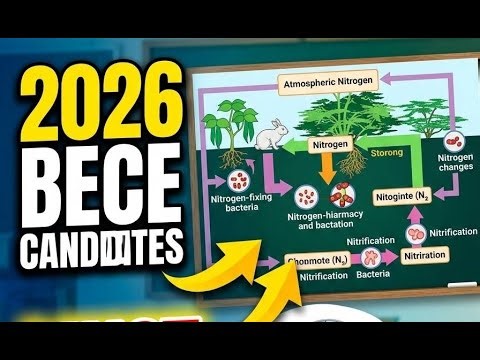 2026 Likely Social Studies Questions & Answers, BECE May 6th