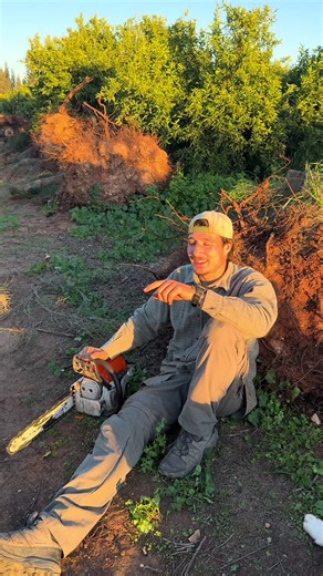 Efficient Material Handling with STIHL Tools