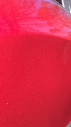 Fehser's Detailing Dynamics on Reels