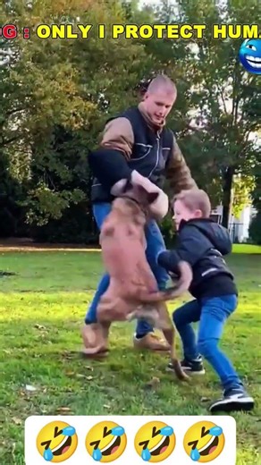 The Last Protection is CRAZY 🖤💀#trolledit #protection #cat #dog