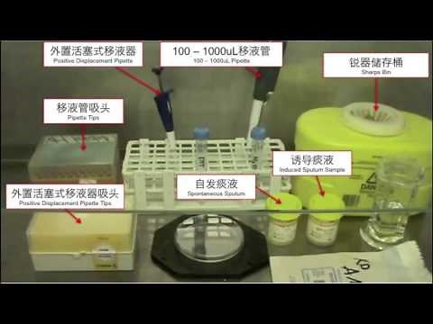 Saline Induced Sputum - Induction + Processing - Training DVD (English)