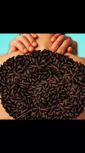 10K views · 80 reactions | ASMR Faxina Sem Pressa | Sons de Spray e Pano  Asmr Back Clean | #animationvideo #animation #asmrvideo #asmr #viralvideo | Blue ASMR Z9 | Facebook