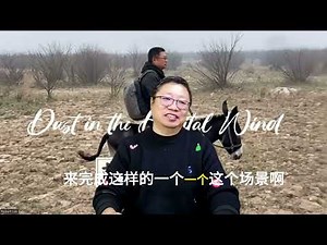 Leeks adrift in the winds of 2025: The poignant song of Bitcoin, "The Wind of Leeks," + My conver...