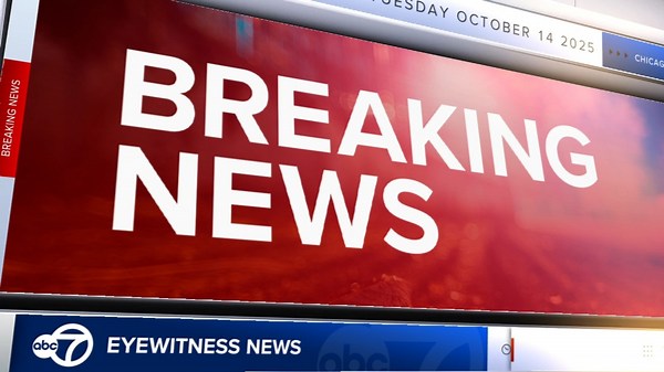 Trains operation with delays after Metra resolves system-wide outage
