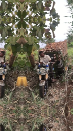 Godfred (@zaito042)’s videos with original sound - page one