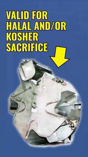 🐑 ROTATING RITUAL CAROUSEL BOX (Part 3) | Halal & Kosher