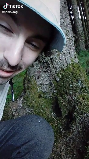 about to Expecto Patronum some dossers #jamslaag #comedy #funny #spookyville #ukforest #adventure #explore #foryoupage #foryou #fyp #🍃🍃🍃 #hightiktoks #ukforestry #hauntedwoods