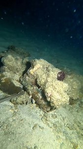 820K views · 21K reactions | Mga Baguhan natuto agad, ang dami pa naman isda sa mababaw. #spearfishing #viralreelschallenge | Negros LIFE | Facebook