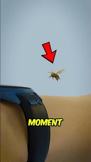 Why Bees DIE After Stinging You 🐝