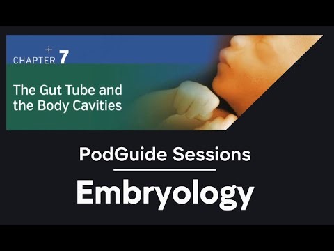 Development of body cavities #embryo #anatomy