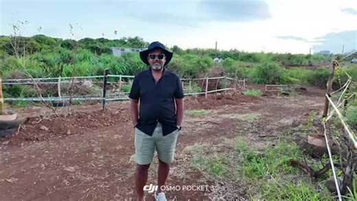 Exploring Off-Road Adventures in Mauritius