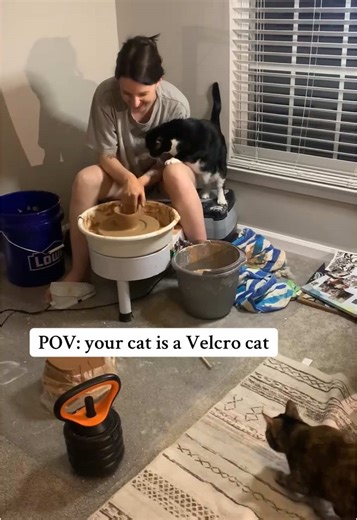 The Native Element studio isn’t complete without the baby cats 🐈🐈‍⬛🐈‍⬛ Gotta love my Velcro cat Tib! 🥲❤️ #farmersmarket #shopsmall #etsy #artistsoftiktok #studiospace #ceramicsoftiktok #summer2025🌴☀️ #thenativeelement