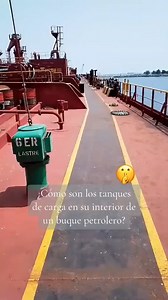 51K views · 749 reactions | Nuestros Mares guardan infinidad de secretos y misterios sin resolver, No por nada solo hemos cartografiado el 5% de todos los océanos del  ¿Que tanto crees que exista haya abajo en las miles de Fosas Oceánicas? #mundooceanico #mundomarino #mundodesconocido #faunamarina #oceanview #verparacreer #fosadelasmarianas #abismos #videoviral #Reelviral #Creditoasuautor | Mundo Marino | Facebook