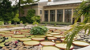 纪录片.蒙提·唐之美国花园.S01E01.2020[片头][高清][英字]