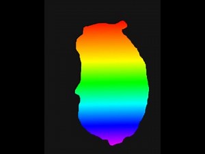 How to find the Rainbow Chomik (Intense, Find the Chomiks)