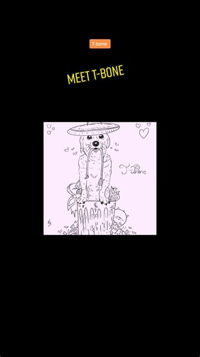 Jollydrawer on TikTok