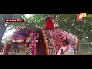 Baba Ramdev Falls Off Elephant While Performing Yoga