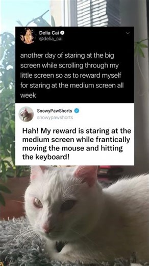 Multiple Screen Setup Creates Endless Digital Distraction Loop