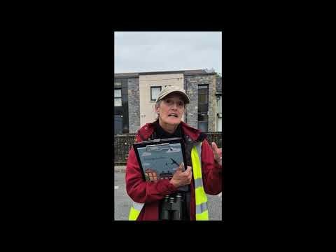 West Cavan Swift Survey and guided walk July 2025