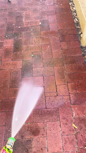 Transforming Dirty Pavers with Pressure Washing in Perth