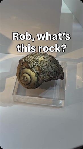 5K views · 267 reactions | Does this fit better in a fossil collection or a mineral collection? Either way, this ludlamite on gastropod shell from Brazil is wild. | The Arkenstone Gallery of Fine Minerals | Facebook