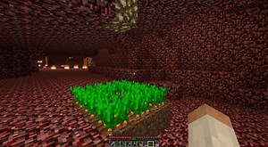 Top 5 Nether farms in Minecraft