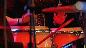 Close-up Shows Hands Musician Playing Conga: Stockvideos & Filmmaterial (100 % lizenzfrei) 3820109587 | Shutterstock
