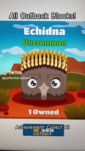 to easy #blooket #blook #blooks #outback #box #pack #outbackbox #toeasy #easy #dontflop #noflop