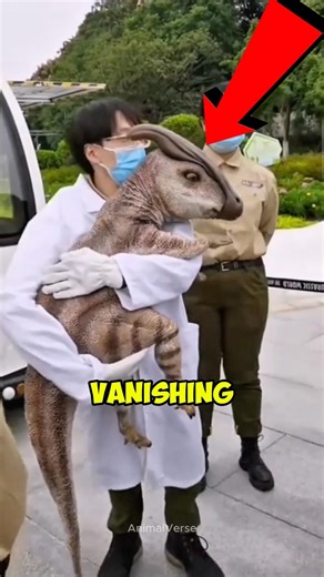 Watch This Before They’re Gone Forever… The Last Animals on Earth 😢 #endangeredspecies #animals