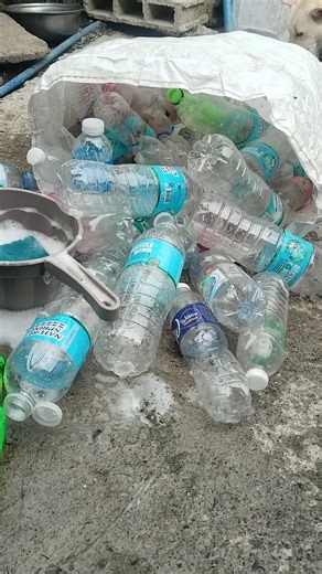 Isang sakong Plastik bottle ang nilinis ko ngayun para sa gagawin recycle parol contest 🌸🌸🌸 Followers High Lights #contentmonitezation #sendstarstosupport #StarSender #tiktokaffiliate #engagementisthekey #RecyclingChallenge | Sarah Jane Valdez - Sinchioco