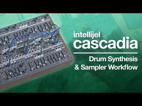 Intellijel Cascadia: Drum Synthesis & Sampling Workflow (featuring Elektron Digitakt)