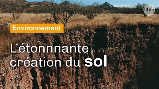 Documentaire | Aux origines du sol