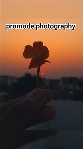 wait for end😱 promode photography really Unique #shortvideo #photography #fyp