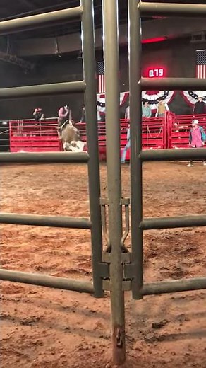 Cowboys OKC Live Bull Riding
