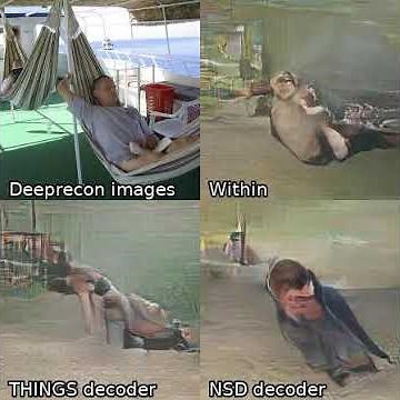 Inter-site image reconstruction for Deeprecon test data, Video1